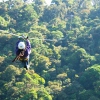 Canopy Abenteuer im Regenwald