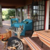 Unsere Veranda und unsere gastfreundlichen Hunde