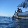 Tauchen von der Puspita Dewi, unserem größeren Boot