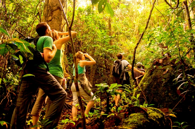 ... oder zu Fuß durch den Regenwald! - Madagaskar - 