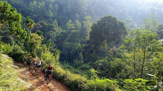 Mit dem Bike die Umgebung erkunden - Sri Lanka - 