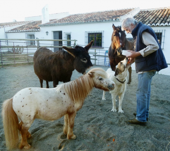 Der Tag beginnt mit dem Füttern unserer Tiere. - Spanien - 