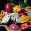 Unser mildes Klima und Anbau tropischer Früchte geben Almuñécar den Namen Costa Tropical!