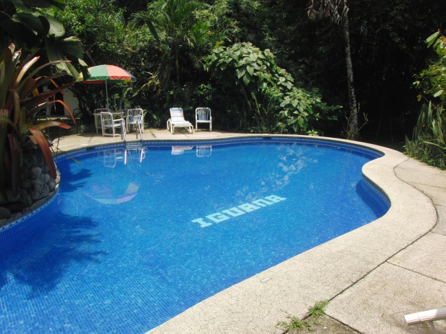 Unser großer Pool - Erfrischung garantiert! - Costa Rica - 