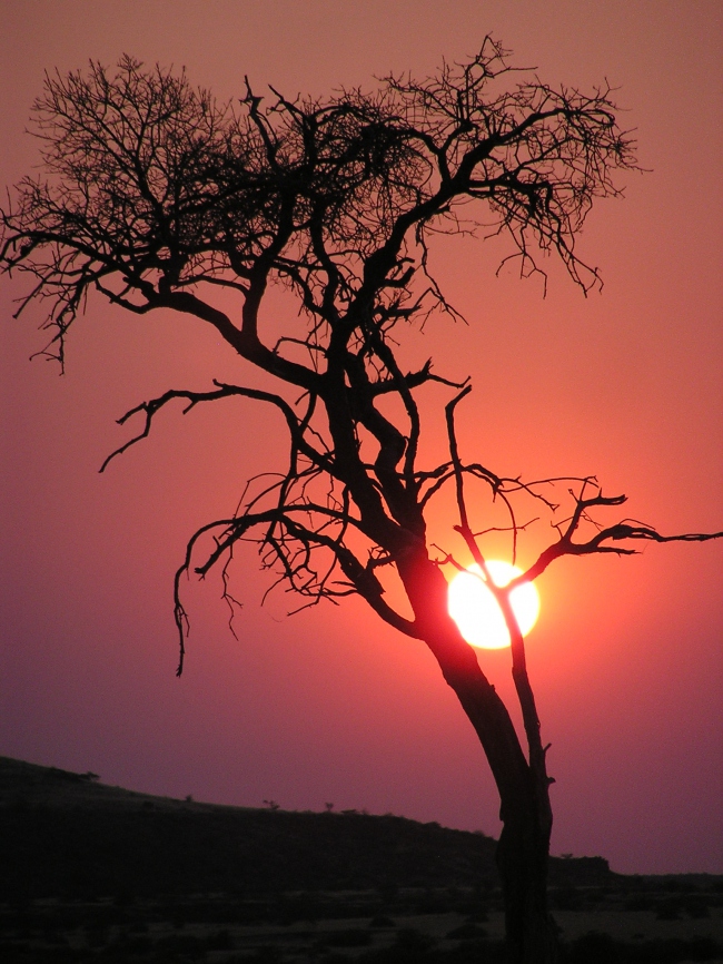 Abendstimmung - Namibia - 