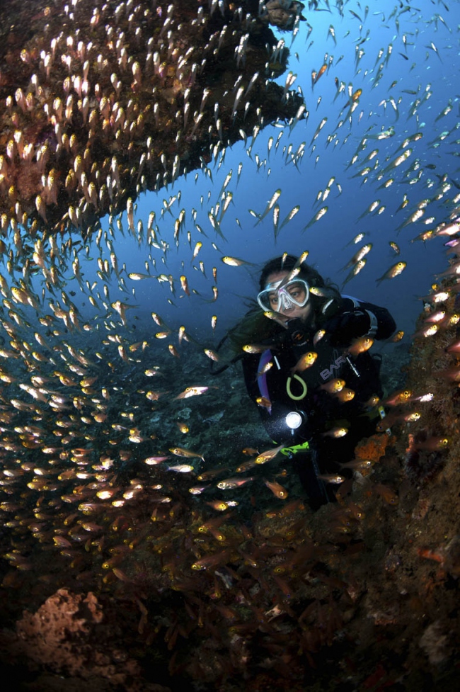 Unsere Unterwasserwelt... - Indonesien - 