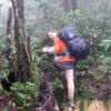 Letzte Etappe Trekking zum Pico Neblina