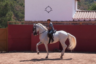 Reiturlaub auf einer Finca in Andalusien (Cadiz)