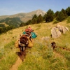 Eseltrekking in den Pyrenäen