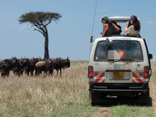 Individuelle Safaris in der Massai Mara