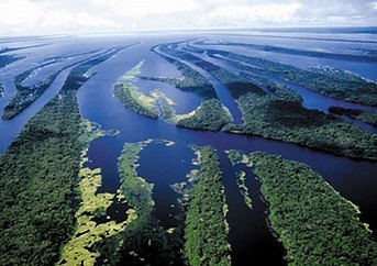 Amazonas - Brasilien - 