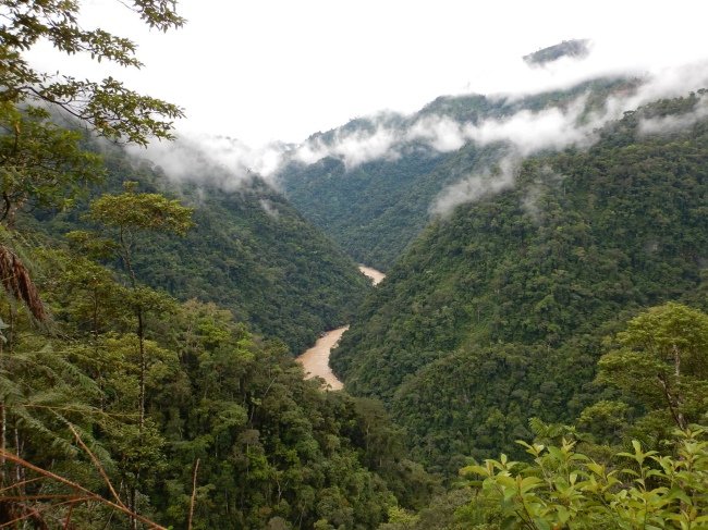 Der Rio Zamora - Ecuador - 