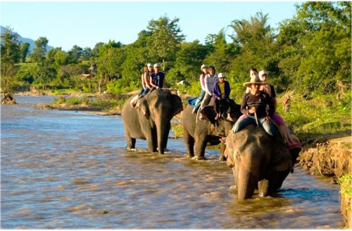 Elefanten-Trekking in Chian Mai