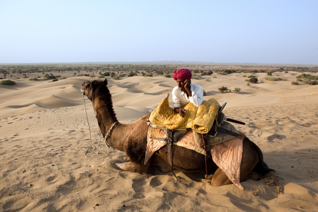 Kamelsafari in der Thar Wüste - Indien - 