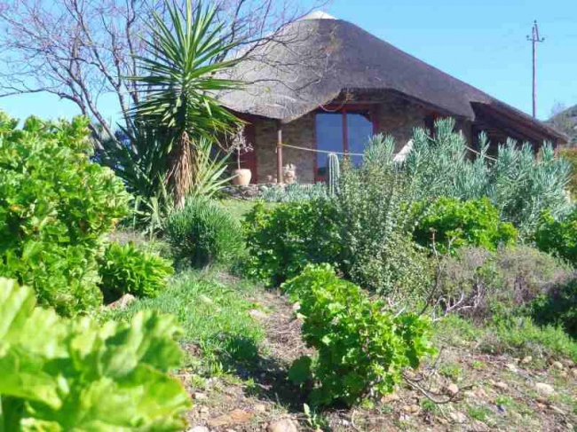 Gästen stehen zwei afrikanische Rundbungalows auf unserer Farm zur verfügung - Südafrika - 