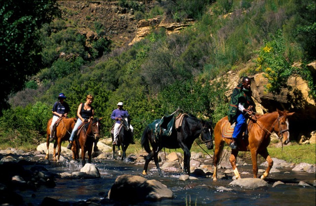 Erkunden Sie die Umgebung auf einem Pony-Trek - hier geht es gerade durch den Botsoela-Fluss - Südafrika - 