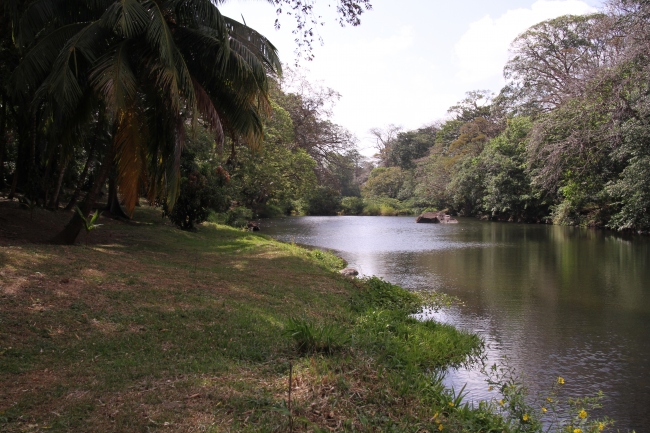 Am Fluss Sapoa - Costa Rica - 