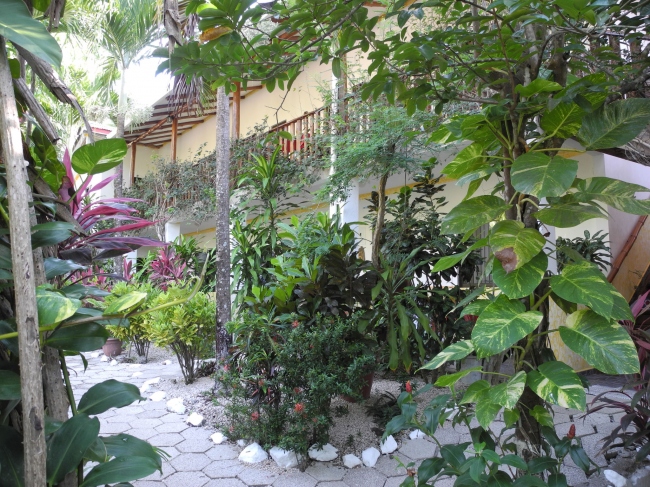 Unser Hotel ist umgeben von tropischem Garten - Costa Rica - 
