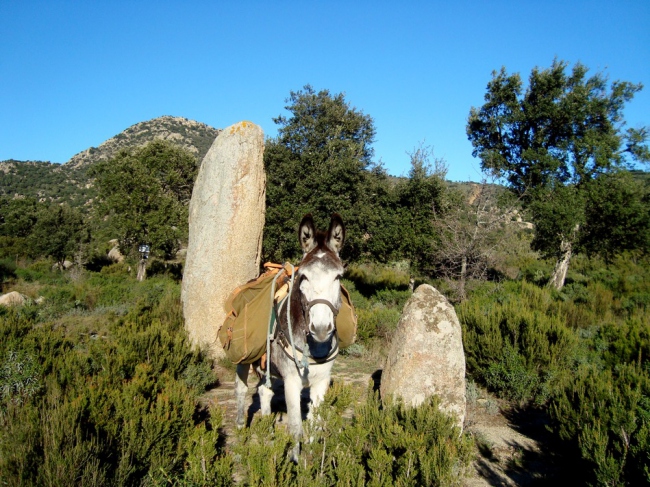 Menhir und Dolmen - Spanien - 