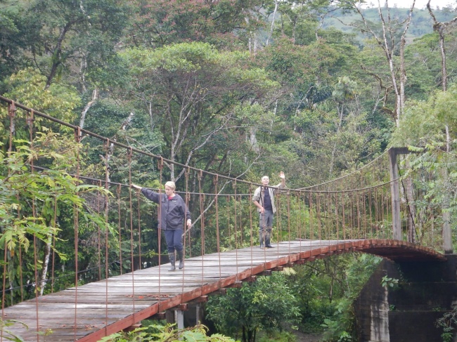 Unterwegs über Hängebrücken im Regenwald - Ecuador - 