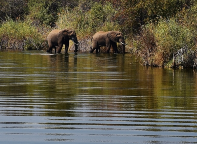 Der Natinalpark liegt direkt vor unserer Tür - auf unseren Safaris gibt es viel zu entdecken - Südafrika - 