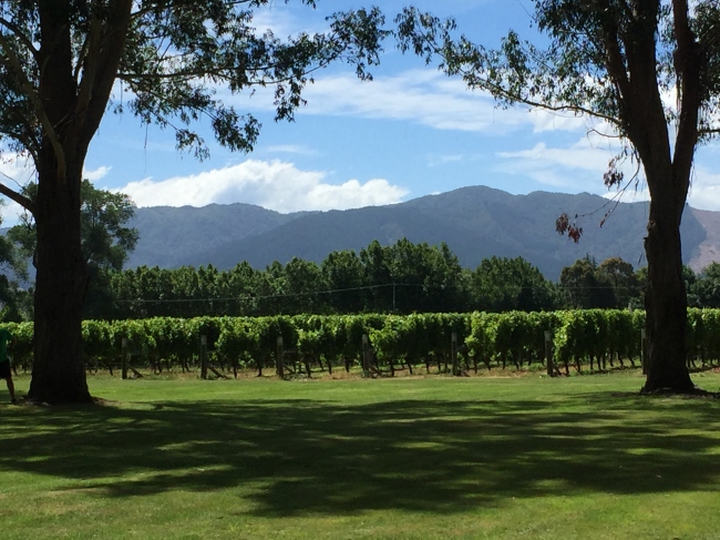 Weingut Besuch - Neuseeland - 