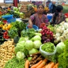 Tropische Früchte auf den Märkten