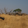 ... Safari-Erlebnis in Namibia und Botswana!