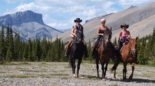 Atemberaubende Landschaft, gut ausgebildete Pferde - Kanada - 