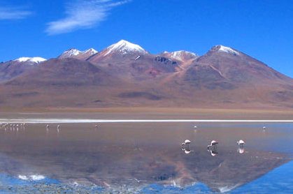 Bolivien Urlaub an herrlichen Lagunen mit Flamingos genießen - Bolivien - 