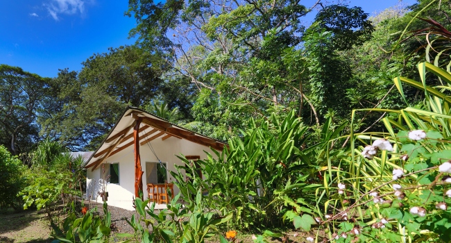 Willkommen in unserem kleinen Paradies! - Costa Rica - 