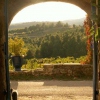 Ausblick auf die Weinterrassen