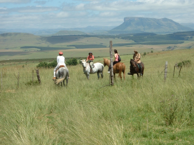 Erkunden Sie die atemberaubende Gegend auf unseren Pferden - Südafrika - 