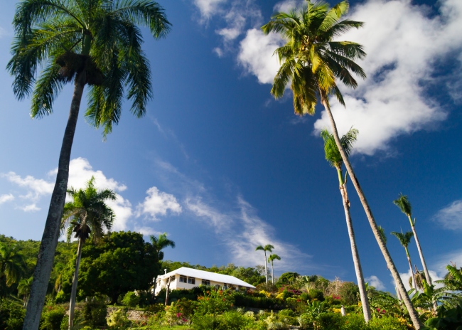 Blick durch den Garten - Dominikanische Republik - 