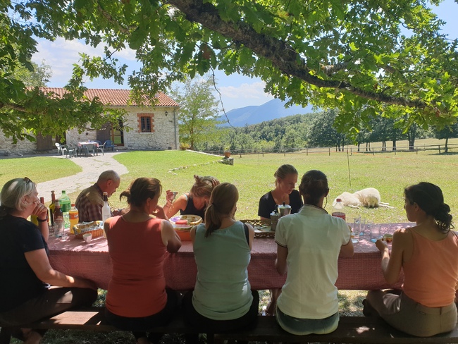 Mittagessen unter Eichen am Haus - Italien - 