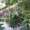 Unser Hotel ist umgeben von tropischem Garten