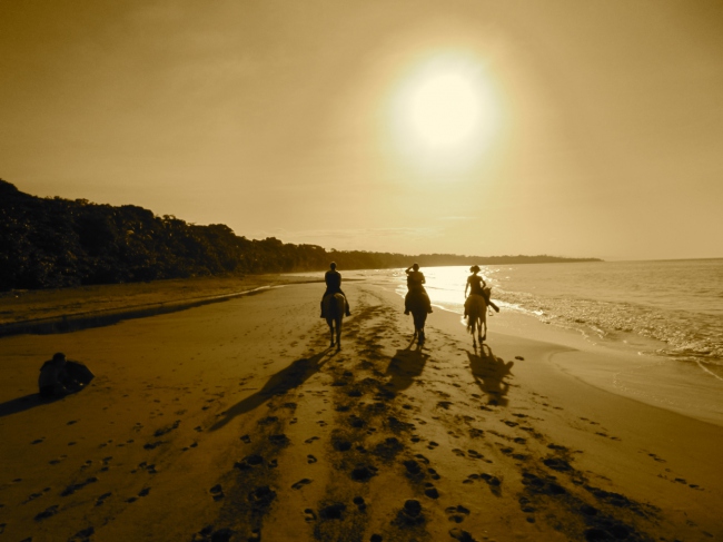 Reiten am endlosen Strand von Puerto Viejo - Costa Rica - 