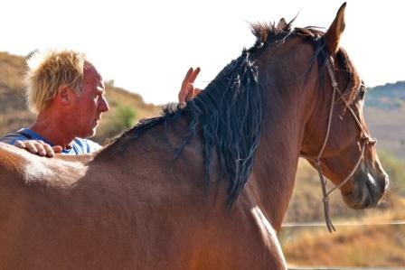 Natural Horsemanship - Spanien - 