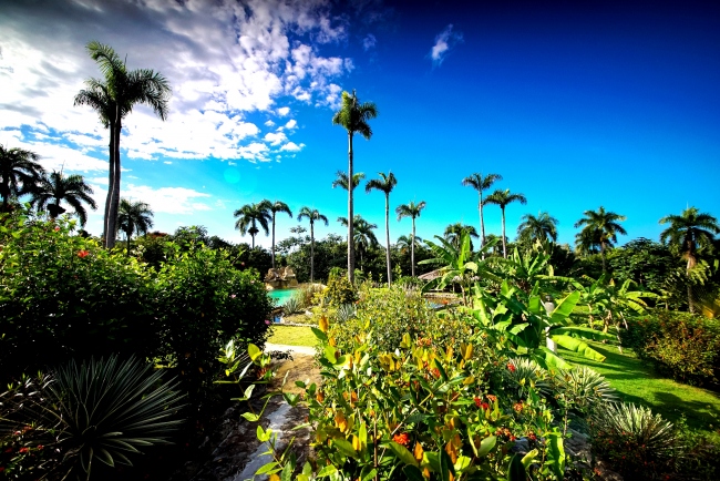 Blick durch unseren tropischen Garten - Dominikanische Republik - 