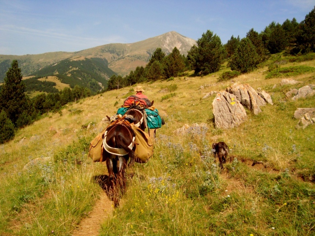 Eseltrekking in den Pyrenäen - Spanien - 