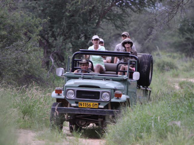 Wir gehen zusammen auf Safari - Namibia - 