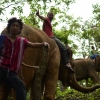Unterwegs durch den Thailandischen Dschungel