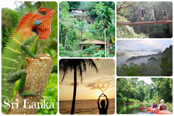Sri Lanka :: Ayurveda, Yoga, Tauchen, Strandhotels, Regenwald-Lodge, Entdeckertouren und Reisepartner in unserer Community