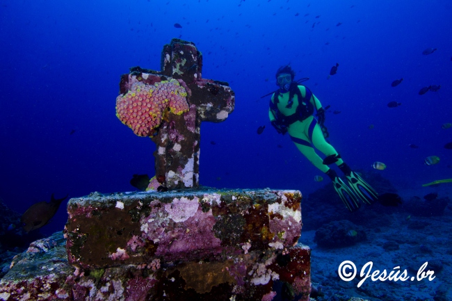 Erkunden Sie mit uns die faszinierende Unterwasserwelt - Philippinen - 