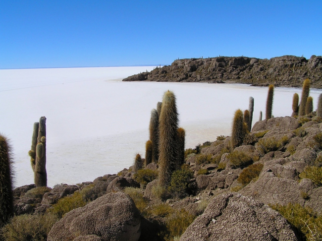 Salar de Uyuni - Boliviens Fischinsel - Bolivien - 