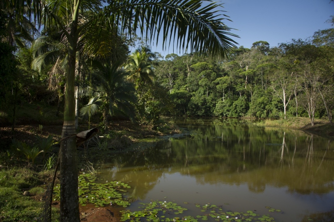 Beeindruckende Natur umgibt unsere Lodge - Costa Rica - 