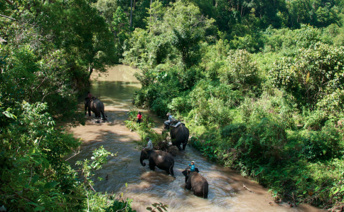 Elefanten-Trekking in Nord- Thailand Abenteuerurlaub pur