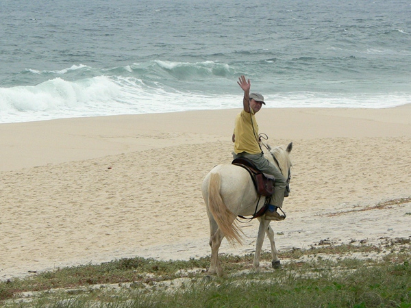 Reiten am Strand - Brasilien - 
